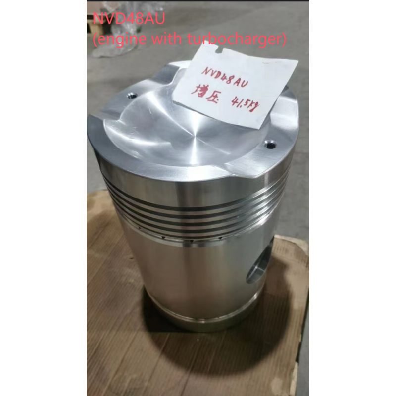 SKL Piston
